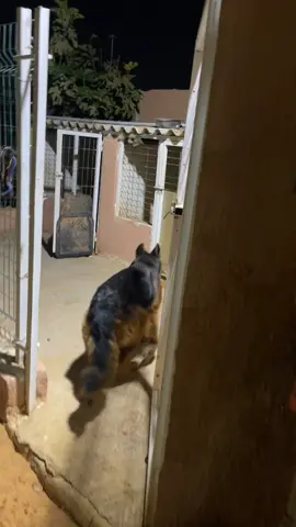 #ليبيا_طرابلس_مصر_تونس_المغرب_الخليج 