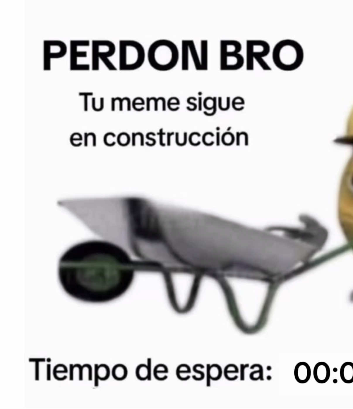 Perdón bro… 🙏 #juventus #comedia #humor #TikTokDeportes 