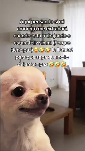 #Meme #MemeCut #CapCut #paratiiiiiiiiiiiiiiiiiiiiiiiiiiiiiii #paratii 