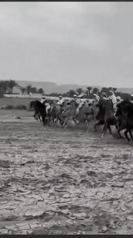 #العرب #صباح_الخير #يام #نجران #fyp 🫡🤍