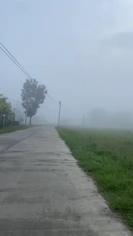 good morning!  #vibes #provincelife #morningvibes #trending #freetostory 