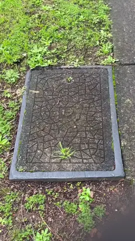 Part 2| Brooke And Jubal In The Morning; Second Date Update. #brookeandjubal #seconddateupdate #brookeandjubalinthemorning #2nddatestales 