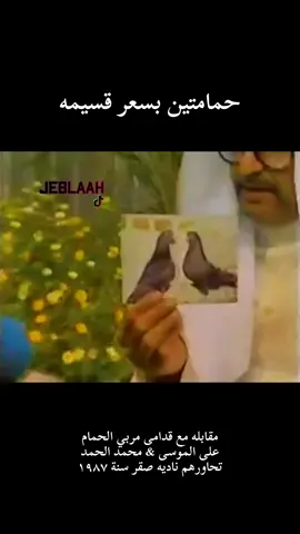 #جبله #قناة_القرين #الكويت 