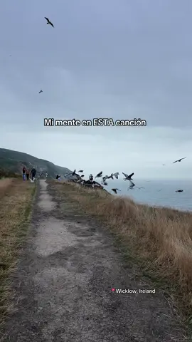 #lux #layugular #rosalia