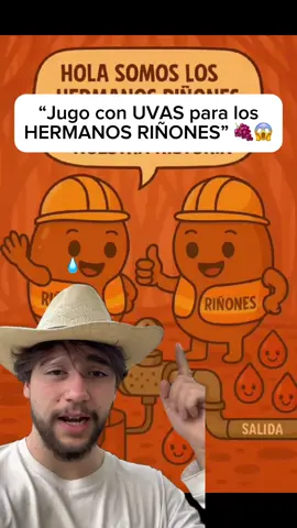 Jugo para depurar los hermanos riñones 🥹 #remediosnaturales #riñones #hermanosriñones #dialisis 