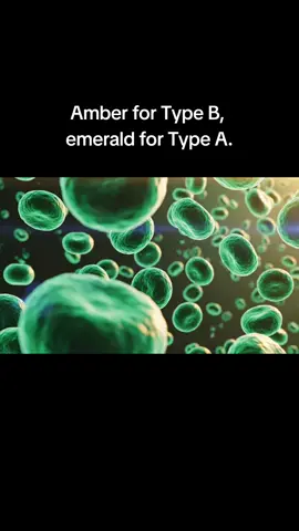 EP1057 — The Blood Spectrum Amber for Type B, emerald for Type A. Every blood type with its own ancient frequency. Which color runs through your veins? EP1057 — The Blood Spectrum Watch the full episode. Follow us for more. @TheAnythingAnswer For entertainment only. #fyp #viral #mysterytok #theanythinganswer #Science #tiktokstoriescontest #TikTokEncyclopediaContest 