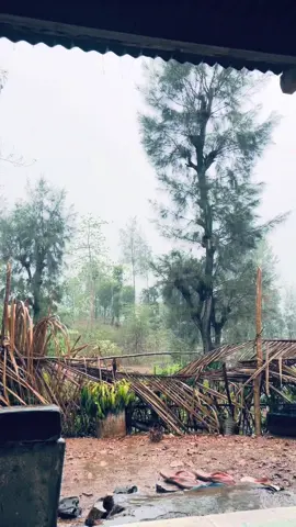 #nntpride🏝️🔥 