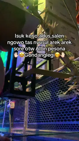 Cepakno sangumu malem minggu all in bersamaku 🤭#fyp #karnaval #pesonagondanglegi #karnavalsoundsystem #soundhoregjawatimur 