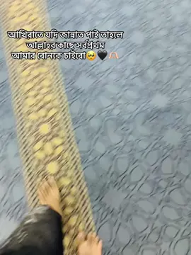 আখিরাতে যদি জান্নাত পাই তাহলে  আল্লাহর কাছে সর্বপ্রথম  আমার বোনকে চাইবো🥺🖤🫶🏻#fyp #foryou #bangladesh🇧🇩 