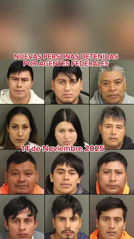 #tiktok #viral #redadas #homedepot #texas  más personas detenidas por agentes federales en las últimas 24 horas 