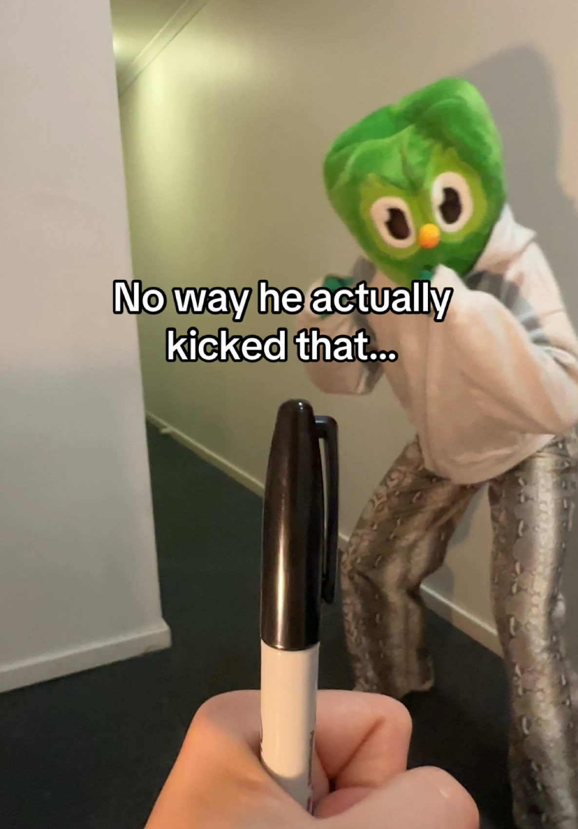 don’t make me remind you again #duolingo #anime 