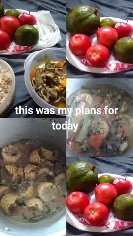 this was my plans for today which I achieve and it was amazing 😍🤩 with God all things are possible 🙏❤️ just believe 🙏❣️ have faith.#faith#praise#glory#fyppppppppppppppppppppppp 