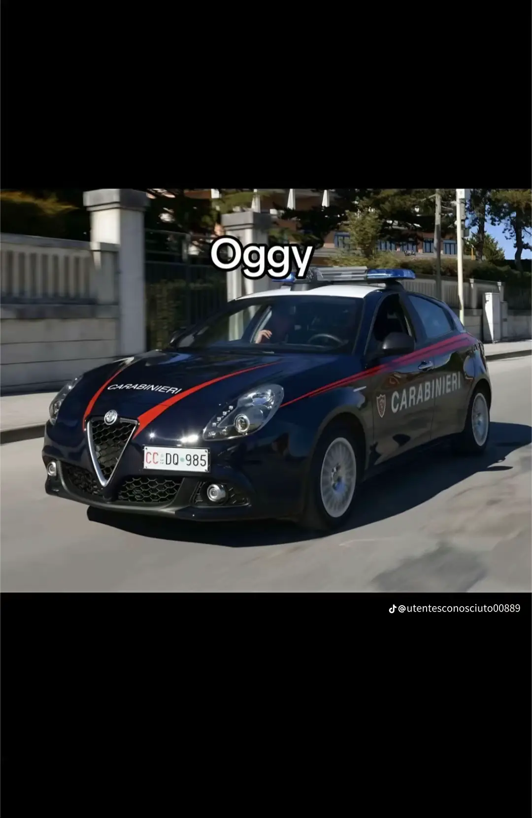 #voliamoneiperte✈️✈️🦁a360gradi #pfypシ #viral_vide #pertuttoilmondo @FEDE🩷LEMUEL🩵⛓️💪 🤣