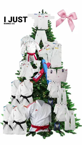 Version 2 kata #xuhuong #xh #karate #karatehoanggia #arawaza 