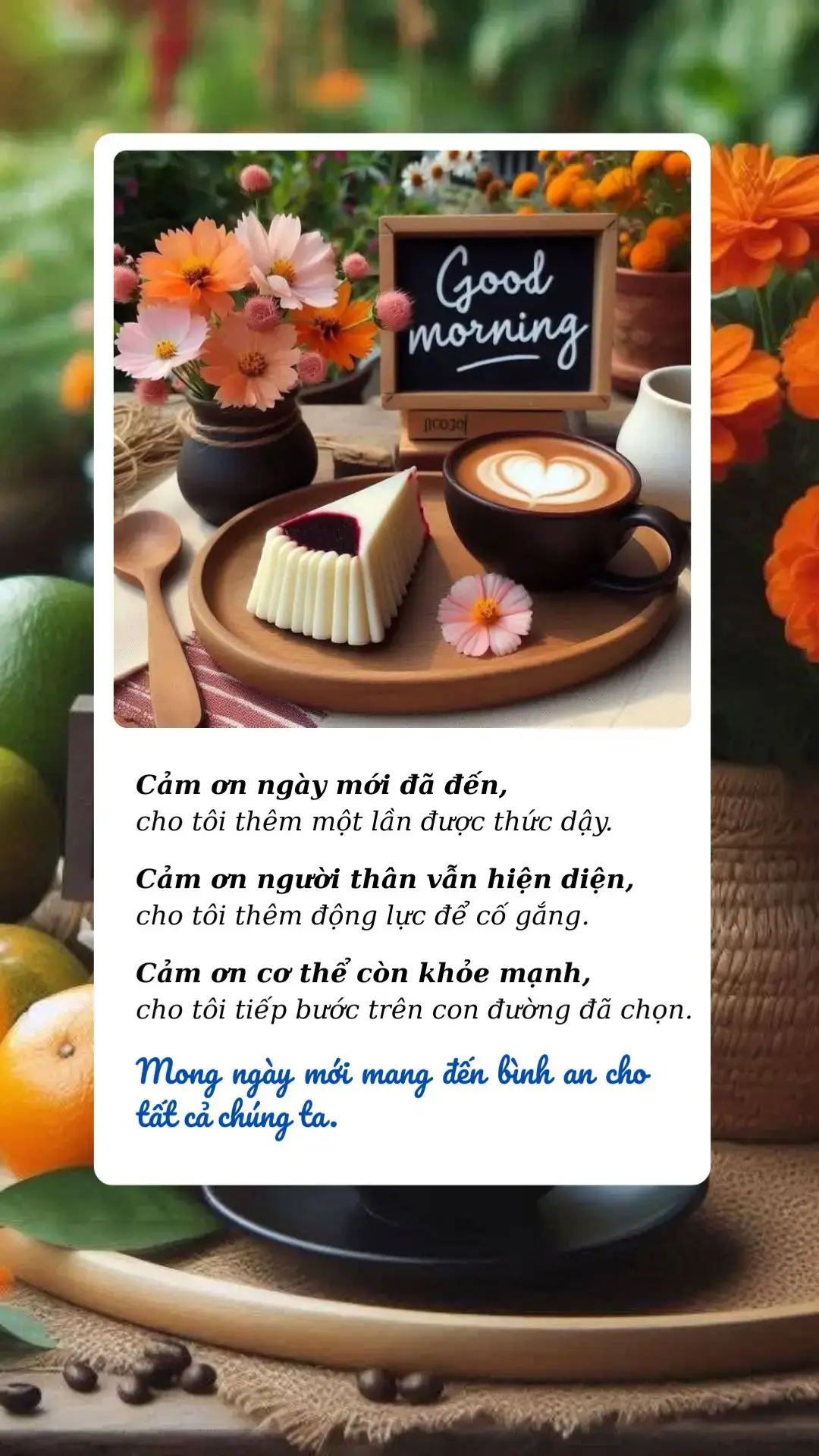 #bachhoabinhyen #chaongaymoi 