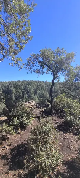 راس الماء افران سويسرا المغرب  #ازرو_افران_مريرت_خنيفرة_أجلموس_الحاج #اسبانيا🇪🇸_ايطاليا🇮🇹_البرتغال🇵🇹_فرنسا🇫🇷 #المراتي🇦🇪🇦🇪 #شعب_الصيني_ماله_حل😂 #ifranecity 