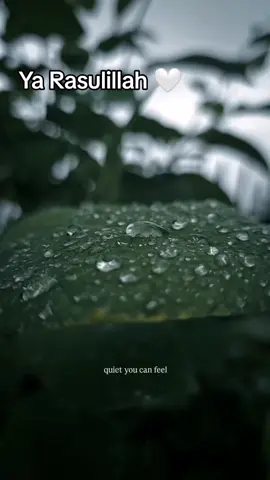 Part 15 I ya Rasulillah🤍 #saw#yarasullullah #tiktok #viral#fpy 