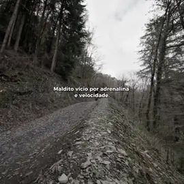 Vícios. . #vicious  #downhill  #adrenaline 