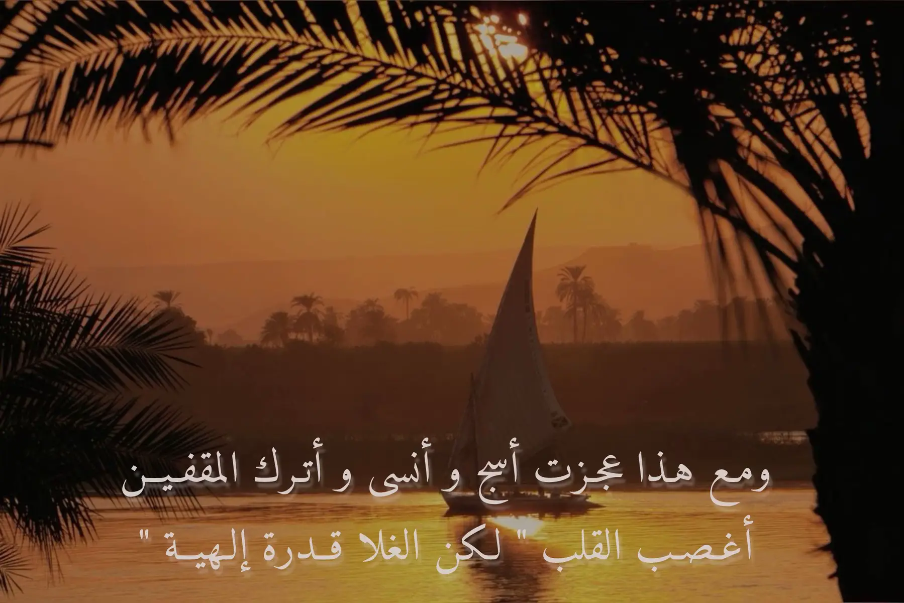 عفا الله عن ملذات الهوا و العشق و التخمين و سجّات الغرام و لذة الحب الحقيقية فديتك يوم تاخذني على كيفك و لا أدري وين معك من وين ما ذعذع هواك و مالت الفيّة غدينا كنّك الشاعر وأنا واحد من الغاوين نهيم بكل واد من العليّا للعزيزيــة و بعد ما فاتنا ركب الحياة و شفت شوف العين مسارات الطريق و الاتجاهات المصيرية تفاهمنا على حسم الأمور و كلّنا راضين و توادعنا ما كن قلوبنا خضر و هواوية و مع هذا عجزت أسج و أنسى و أترك المقفين أغصب القلب 