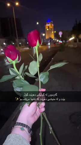 🌹#erbil_iraq #fypシ #fypシ゚viral🖤tiktok☆♡🦋myvideo #عراقي 