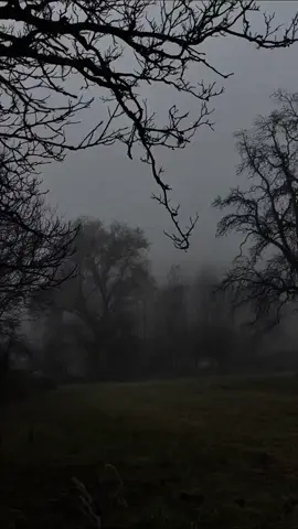 #sousounofrieren #fyp #عبارات #sad 