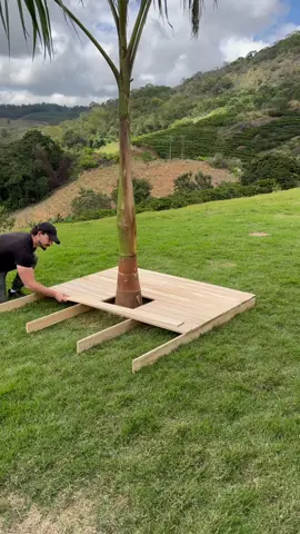 Look at the genius idea he had with this tree that was in the middle of the backyard 😲