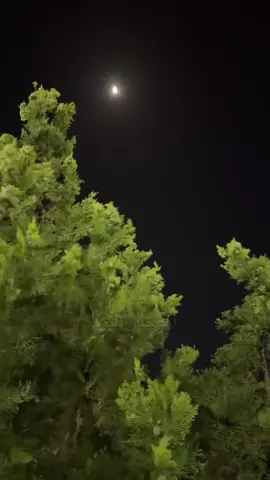 #محمد_المقحم#كسبلور_explor #تصميم_فيديوهات🎶🎤🎬