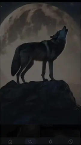 #leftysm #CapCut #LIVEIncentiveProgram #ZeroToHero #PaidPartnership 