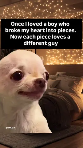 🤣Follow this page for more evil and hilarious memes and join the future global meme empire. Follow now before it’s too late and this page is hot and famous  😈😂 Evil Dog Merch in my Bio!⭐ #memes #evildog #toxic #Relationship #ex 