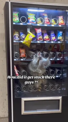 Vending machine #afambobie #relatablevideos #superviral #viral #vendingmachine 