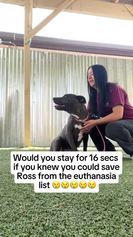 Our boy 😢😢😢