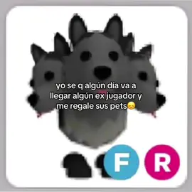 ojalaa algún diaaaa #adoptme #roblox #pets #fyp #parati 