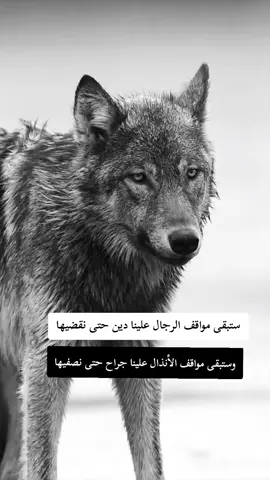 #fyp #F #f #شعب_الصيني_ماله_حل😂😂 #ابوني_ياك_باطل_ولا_حنا_مانستاهلوش 