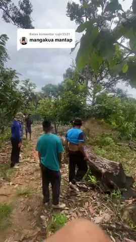 Membalas @sajir3521 #chainsawman #sthill381 #storytime #fy #f 