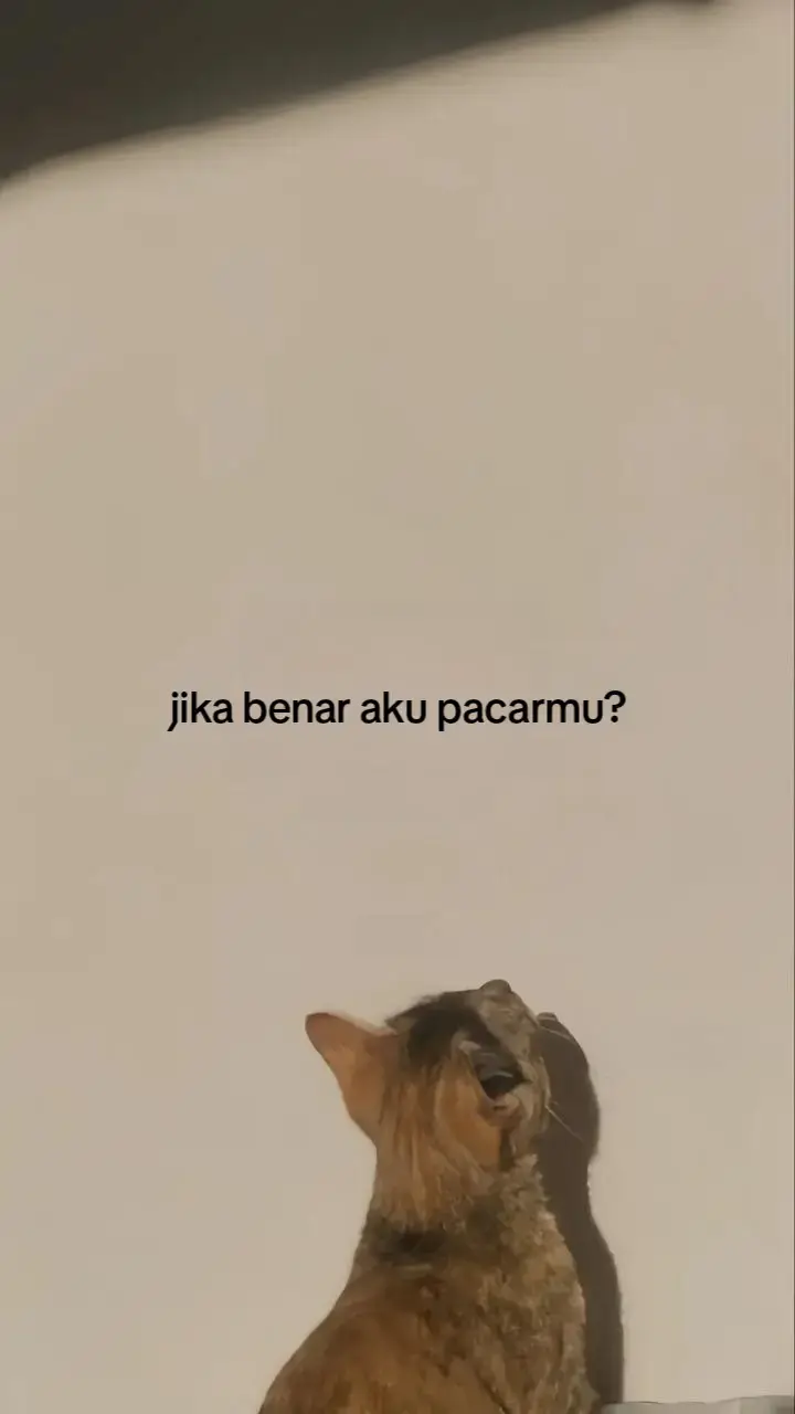 #galaubrutal #sadvibes #fyp 