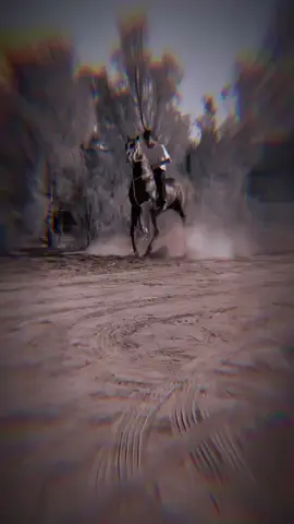 #မြင်းဝါသနာရှင်အပေါင်းအားလေးစားလျှက်🙏 #မင်းတို့ပေးမှ❤ရမဲ့သူပါကွာ #ဒီတစ်ပုဒ်တော့fypပေါ်ရောက်ချင်ယ် #fyppppppppppppppppppppppp 