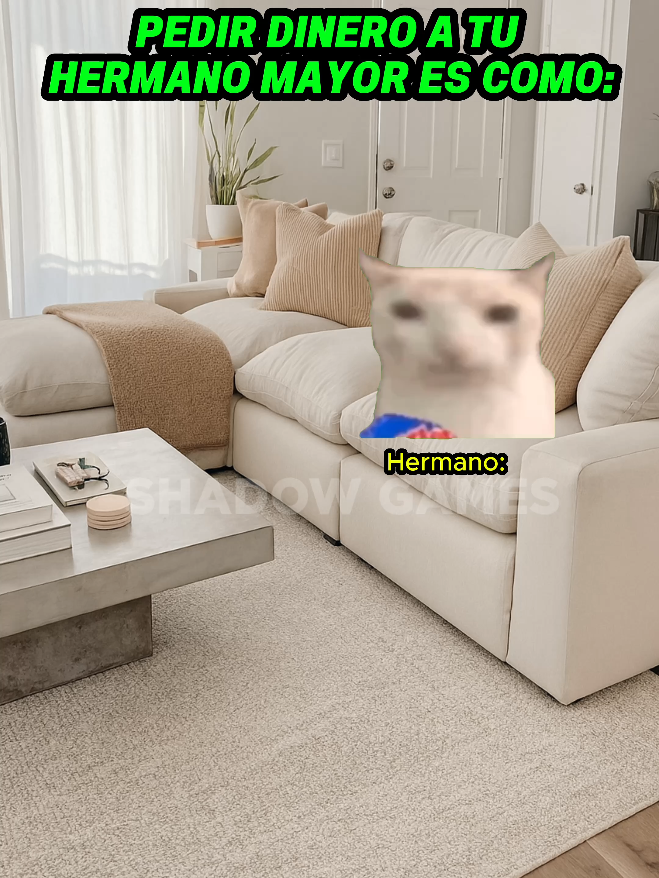 Pedir dinero a tu hermano mayor es como #gatitoslindos #storytime