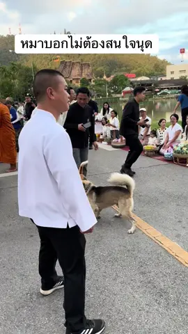 #แม่ฮ่องสอน 