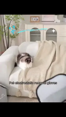 Unlock the secret to effortless style—shop our limited-time collection before it’s gone!

Follow us for more! #flamingohairremoval #sharkhairtools #petcarekit #petpivotlitterbox #automatichaircurlerreview #hairtoolforbeginners #smartpettech #sleekezgroomingtool #automaticcatlitterbox #petparentstyle