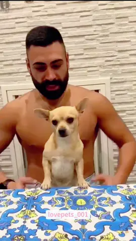 Dogs imitate humans.#dog #dogs #doglover #dogsoftiktok #funny #foryou #funnyvideos #viral #fypシ #funnytiktok #usa🇺🇸 