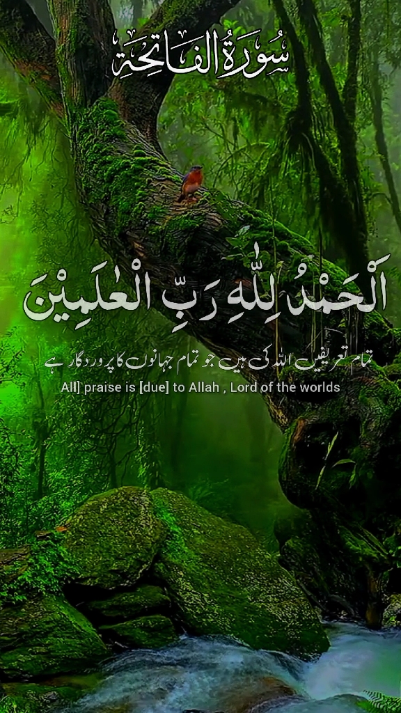 #امین_یارب_العالمیــــــــــن🤲🏻🥺 #قران_كريم_ارح_سمعك_وقلبك #ماشاءاللّٰه_سبحان_اللّٰه_💖 #راحه_نفسيه_القرآن_الكريم #ارح_سمعك_بالقران #القران_الكريم_راحه_نفسية😍🕋 #foryoupage❤️❤️ #for @TikTok @TikTok UK @⋆.˚✮♡𝐇𝗼𝗹𝘆♡𝐐𝘂𝗿𝗮𝗻♡✮˚.⋆ @꧁𝗛𝗼𝗹𝘆༺ قرآن꧂ @🌹🎧 اَلۡحَمۡدُ لِلّٰہِ🎧🌹 