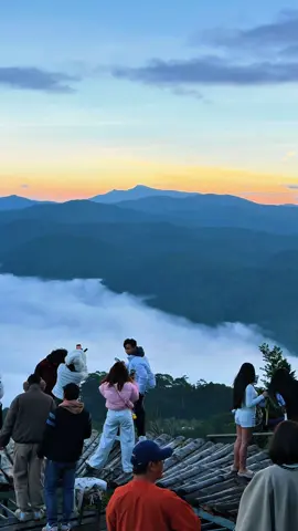 Săn mây 15/11/2025 #thoitietdalat #sanmaydalat #dalat #tourdalat #vitamindalat 