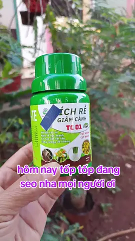 #xuhuong #xuhuongtiktok 