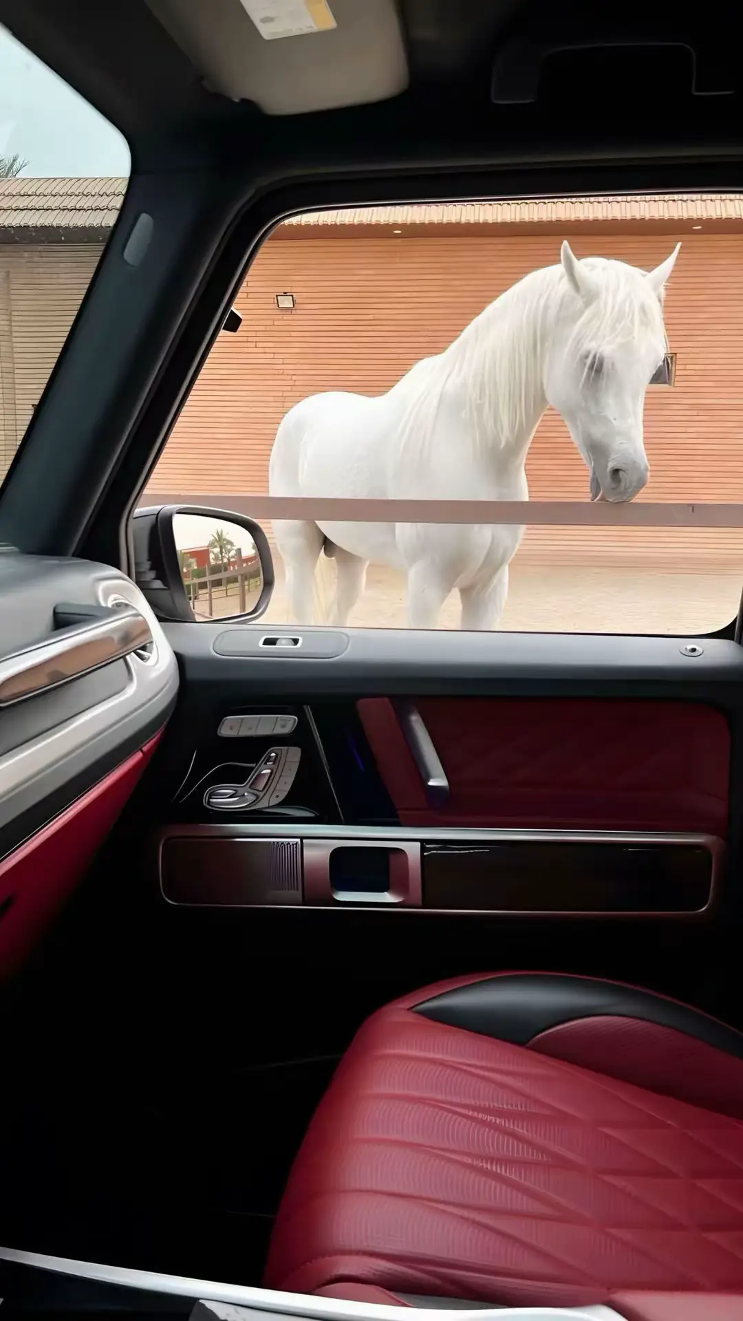 #اكسبلور #استكشاف #مالي_خلق_احط_هاشتاقات🧢 #اكسبلورexplore #اكسبلور 