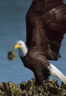 #frases #motivation #reflexion #amor❤️ #motivacional 