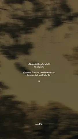 ම්ම්🤍