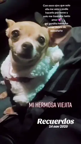 #recuerdos #foryou #miangel #paratiiiiiiiiiiiiiiiiiiiiiiiiiiiiiii #fyp 