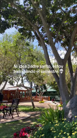 Ya cuando acabe la carrera cualquier cosita 👻 #resolver #fyp #universidad #usfq 