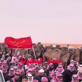 وهل احب سواه ؟ ❣️❣️. #حرب_اهل_الثلااث_المعجزات #اكسبلور #fypシ 