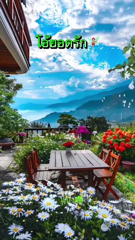 #แทรนวันนี้ #เพลงเก่าที่คิดถึง #เพลงในตํานาน #เพลงเก่าวันวาน #ขอบคุณเสียงต้นฉบับ 